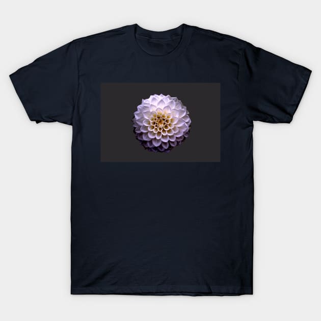 Symmetry T-Shirt by howaboutthat